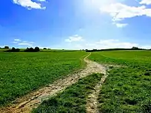 First battle of Newbury site, facing South.