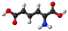 Ball-and-stick model of 2-aminomuconic acid