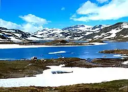 2001. Mountain highland at Geiteryggen. View over Geiteryggvatnet (vatn = lake) westwards towards Bakkahelleren and Såtedalen (dal = valley).