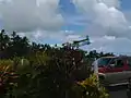 An Air Fiji Harbin Y-12 landing at Matei Airport, Taveuni Island, Fiji. (2004)