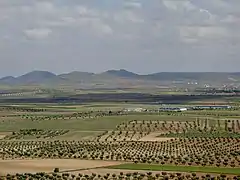 Countryside near Almonacid de Toledo