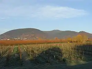 The Kalmit massif. From left to right: the Blättersberg, the Kalmit, the Kanzel and the Wetterkreuzberg