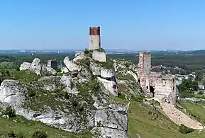 Remainings of the Royal Castle, Olsztyn