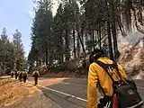 Firefighters walk along Highway 41.