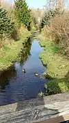 A narrow creek viewed from a bridge