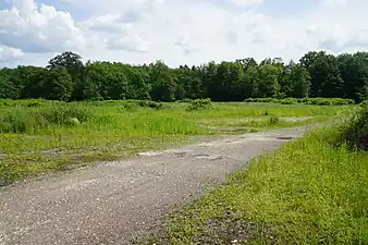 Overview of the well site (similar to the 1884 photo).