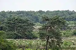 Landscape near Havelterberg