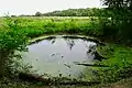 Bomb crater at Havelterberg