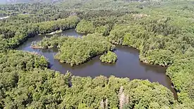 A dotted pond occupied by a large island and surrounded by forest