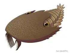 Reconstruction