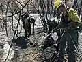 Firefighters mopping up a hot spot on August 26.