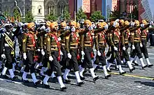 Members of the Tri-Service Guard of Honour on Red Square during the 2020 Moscow Victory Day Parade.