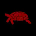 Orange tortoise on a black field