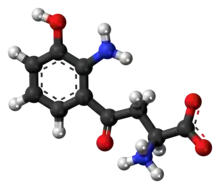 Ball-and-stick model of the 3-hydroxykynurenine molecule as a zwitterion