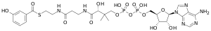 Chemical structure of 3-Hydroxybenzoyl-CoA