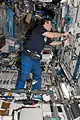 NASA Image: ISS017E017539 - NASA astronaut Greg Chamitoff, Expedition 17 flight engineer, works with the Minus Eighty Degree Laboratory Freezer for ISS (MELFI) as part of the Nutritional Status Assessment (Nutrition) experiment in the Destiny laboratory of the International Space Station.