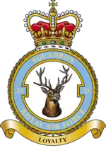 Squadron badge