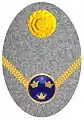 Hat badge (Mössmärke m/1914) for a second lieutenant in the army on fur hat (pälsmössa m/1909-14)