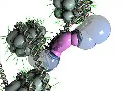 NRSF bound to DNA and cofactors on each of its two cofactor binding domains.