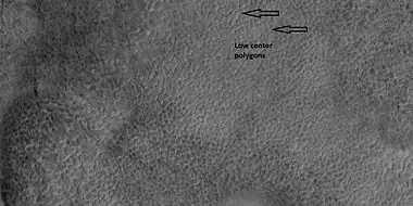 Low center polygons, shown with arrows, as seen by HiRISE under HiWish program  Image was enlarged with HiView.