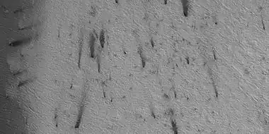 Wide view of plumes and spiders, as seen by HiRISE under HiWish program