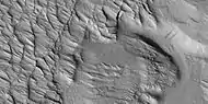 Polygonal ridges, as seen by HiRISE under HiWish program