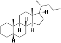 5β-Cholane