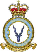 Squadron badge