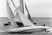 8 Metre