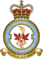 Squadron badge