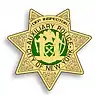 Auxiliary Deputy Inspector Shield