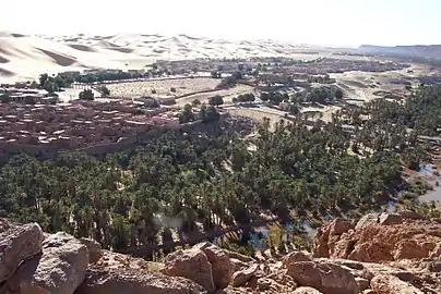 Zouzfana wadi at Taghit