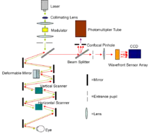 Diagram of the AOSLO setup