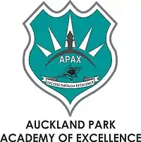 APAX logo