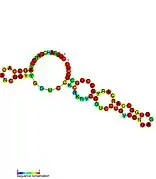 ASpks:  Secondary structure taken from the Rfam database. Family RF01782