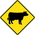 (W5-SA63) Cattle (Used in South Australia)