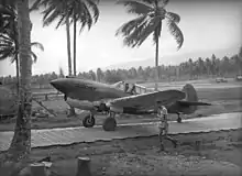 An Australian P-40 at Milne Bay