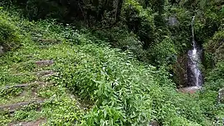 Rock-hewn stairs leading to a village near Thalisain. Freshwater springs are abundant in the region.