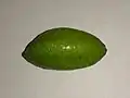 A green fruit