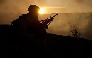 A SEAL at sunset