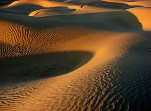 The Thar Desert near Jaisalmer.