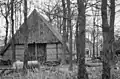 Timber famed barn