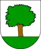 Coat of arms of Abaltzisketa