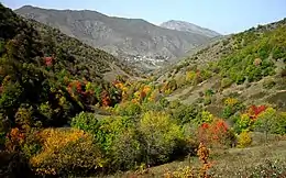 Abbasabad County in the fall