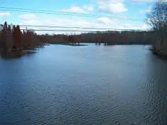 View of Abbotts Creek where it becomes High Rock Lake, from Hwy 47.