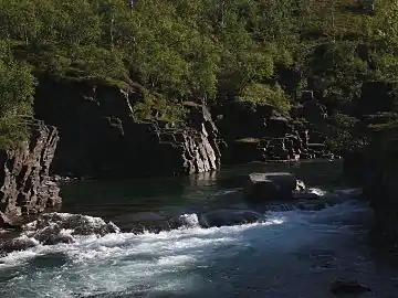 Abiskojokk in August 2008