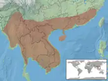 Map of southeastern Asia, showing a highlighted range (in brown) covering Burma to Vietnam and southern China