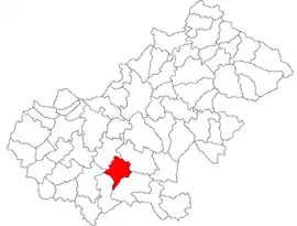 Location in Satu Mare County