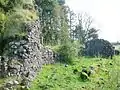 The tower and farm byre ruins