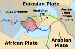 The Aegean Plate